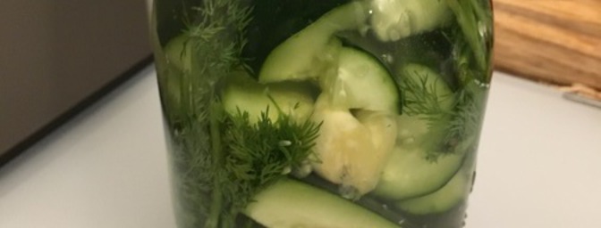Garlic Dill Pickles (Batch 1)