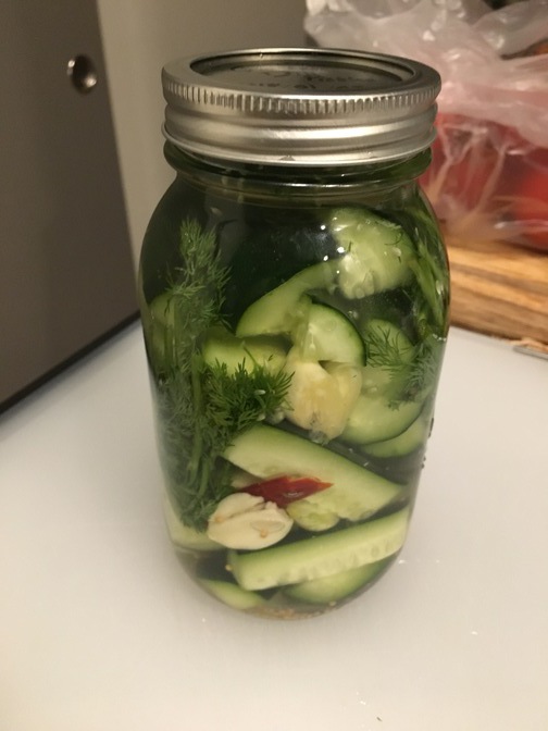 Garlic Dill Pickles (Batch 1)