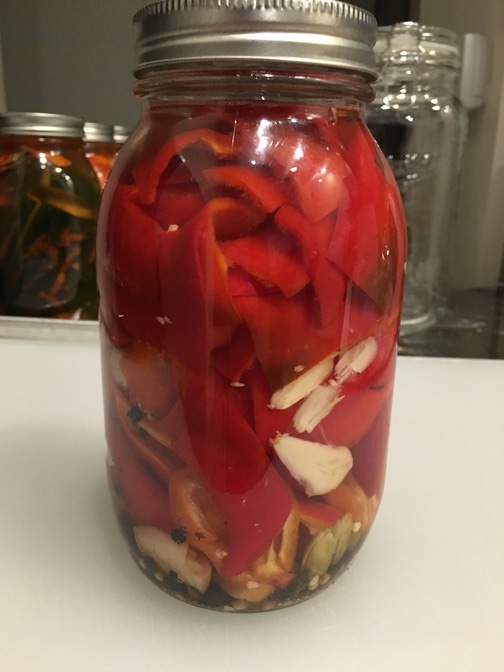 Fermented Peppers (Batch 1)