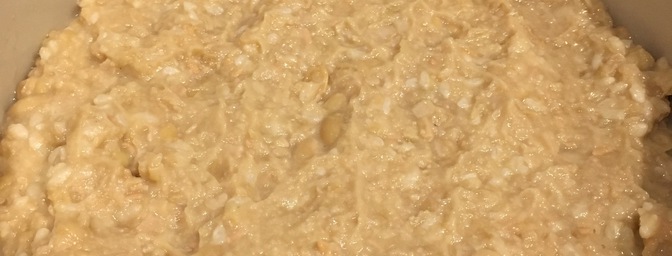 Soybean Miso (Batch 1)