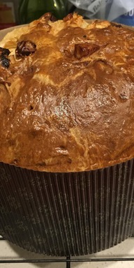 Sourdough Panettone